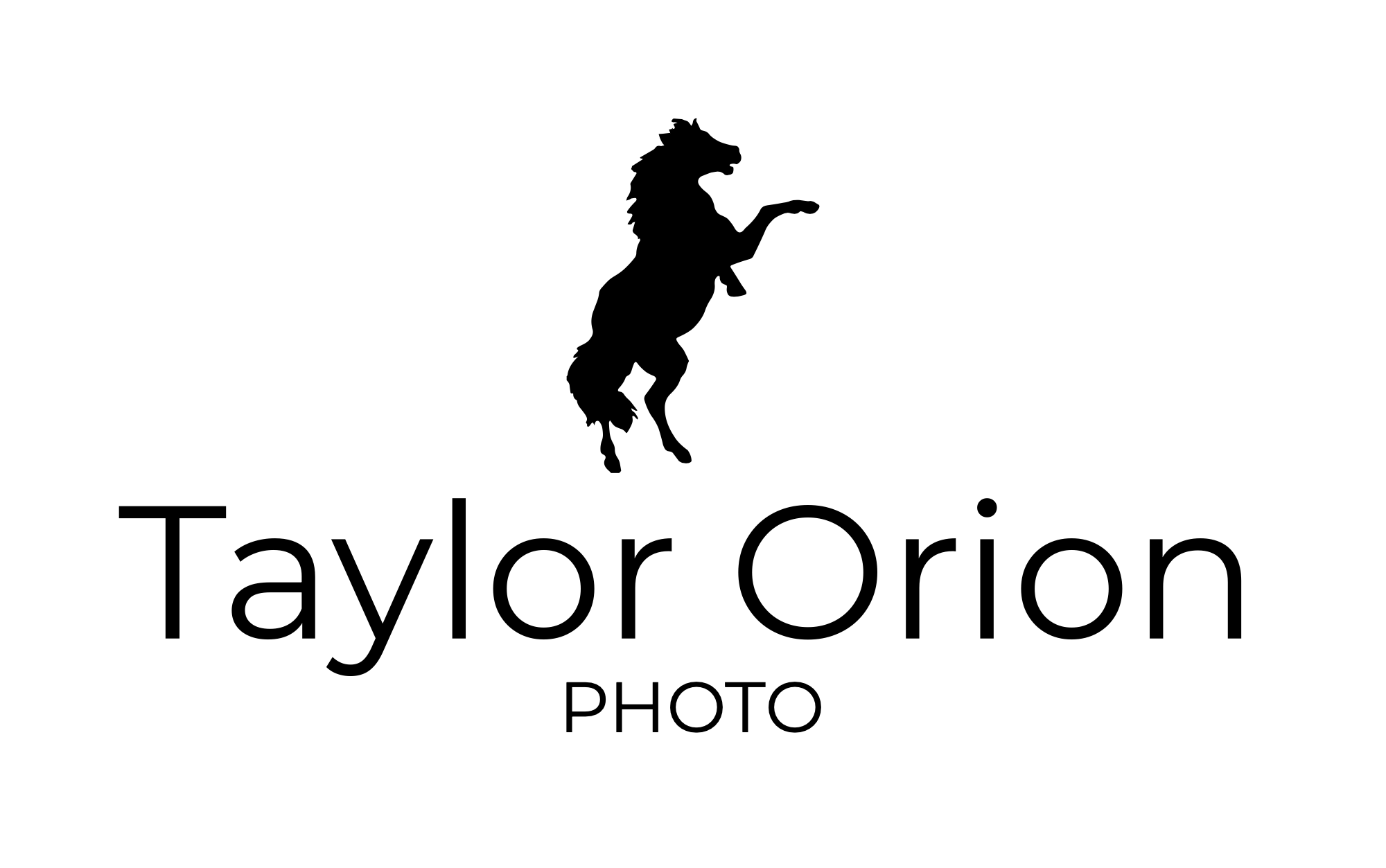 Taylor Orion logo