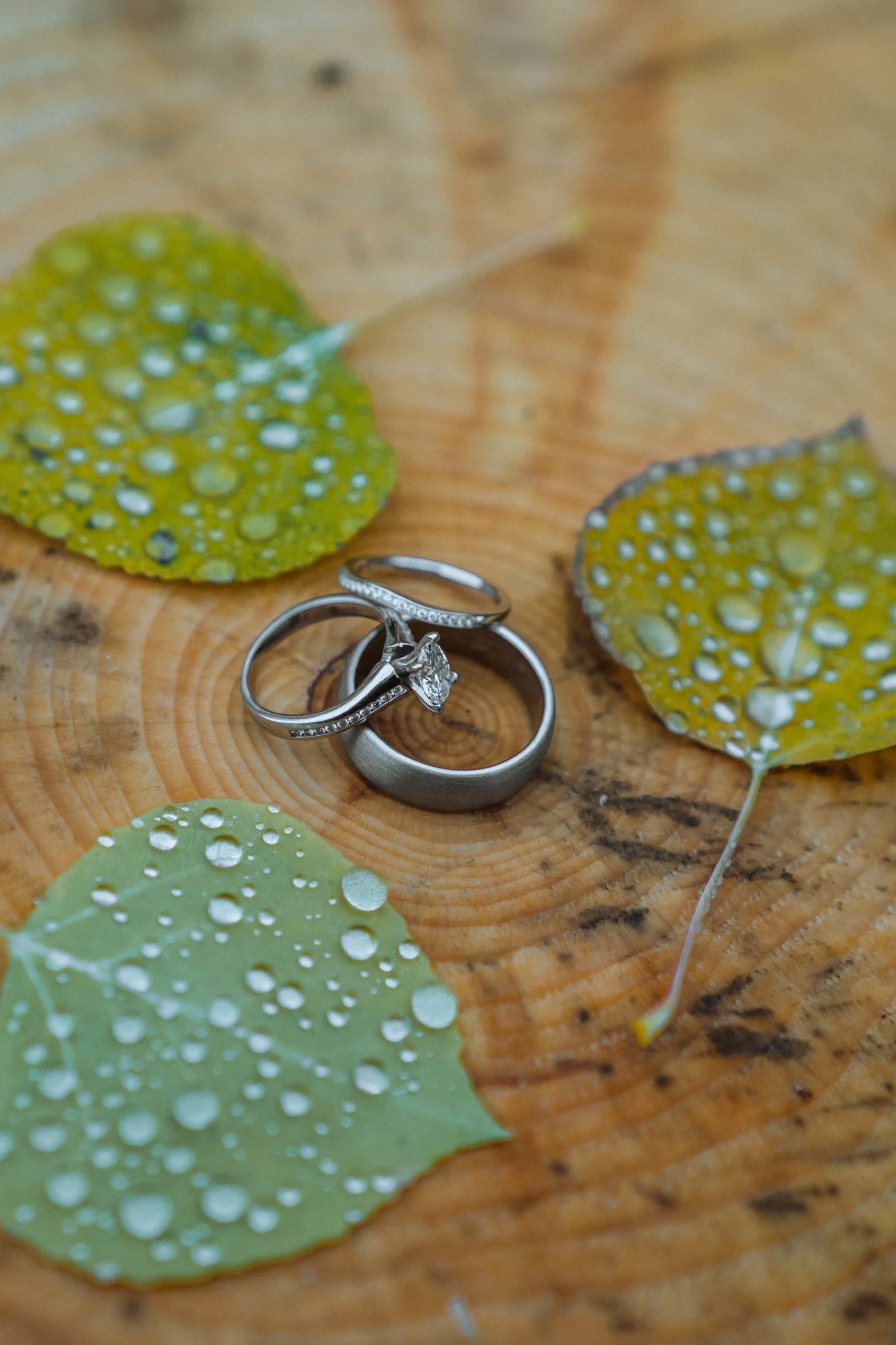 Wedding photography