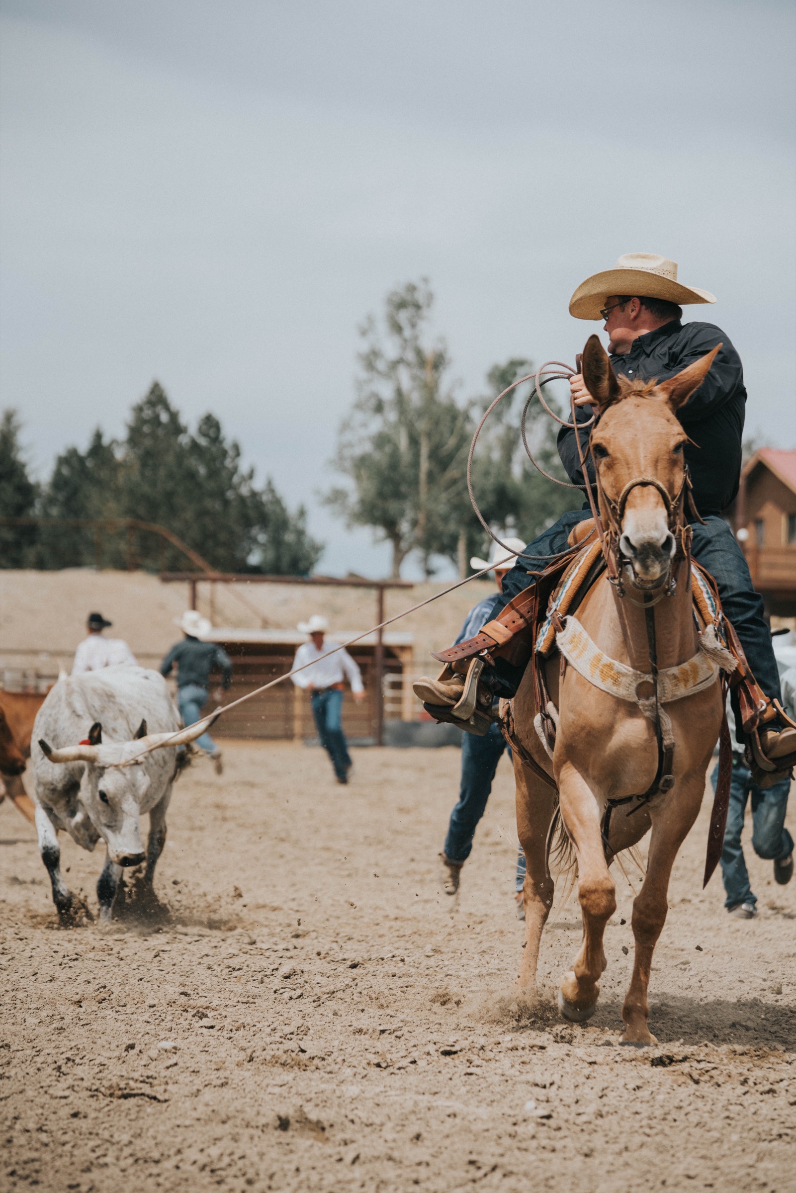 Western photography