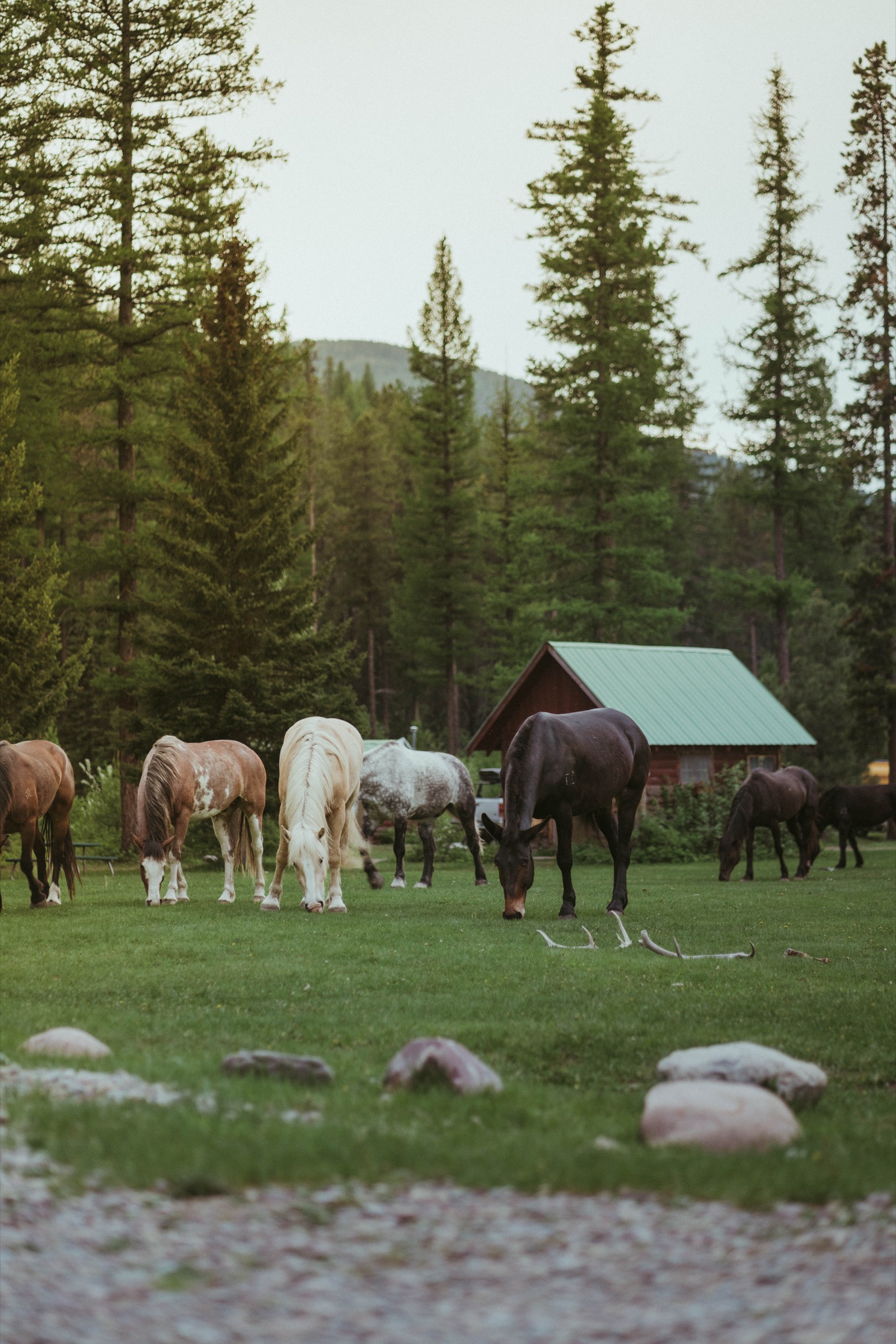 Western photography