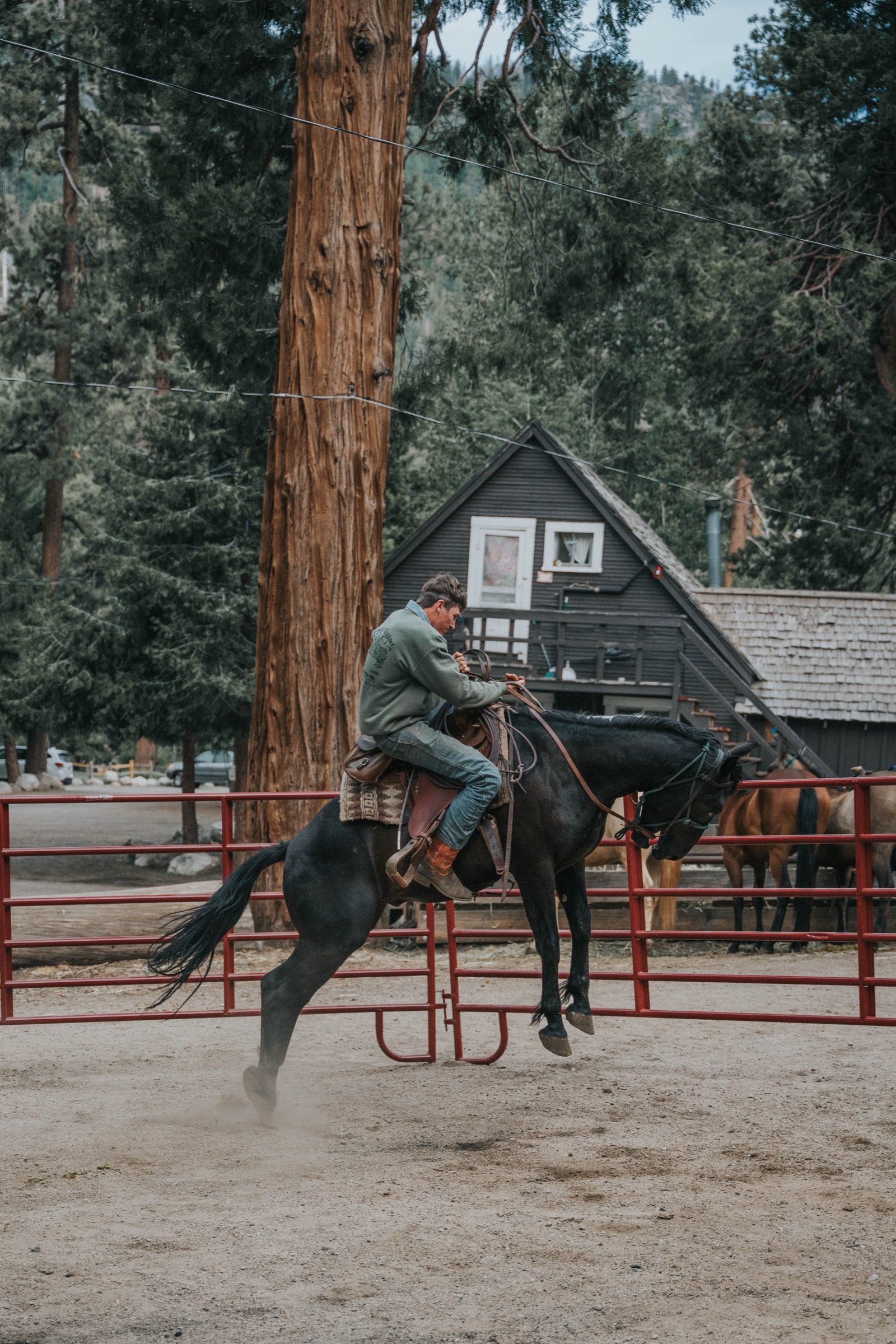 Western photography